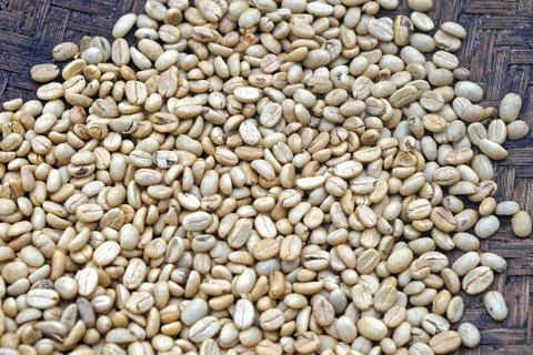Green coffee beans Stock Photos