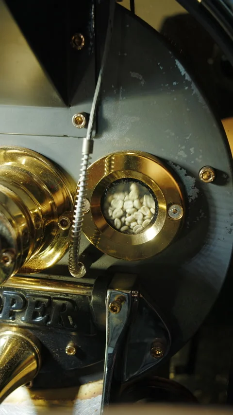 Green coffee beans in roasting machine chamber Video stock 313795591