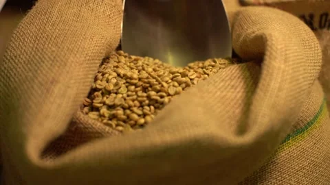 Green coffee beans in textile bag Vídeos de archivo 170696712