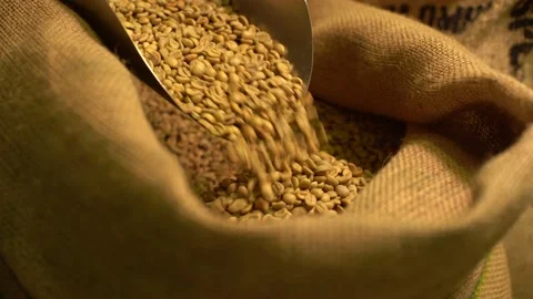 Green coffee beans in textile bag Stock Footage 170696713