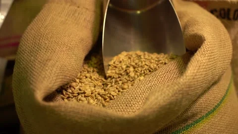 Green coffee beans in textile bag Stock Footage 170696715