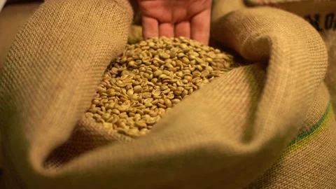 Green coffee beans in textile bag Stock Footage 170696719