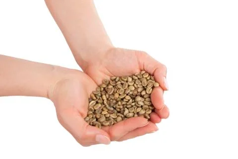Green coffee. Stock Photos