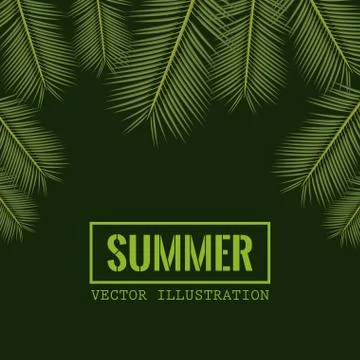 Green color background with side border decorative palm leaves and rectangular Stock Illustration