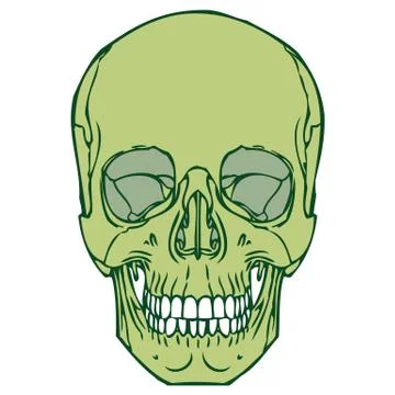 Green color human skull vector Stock Illustration