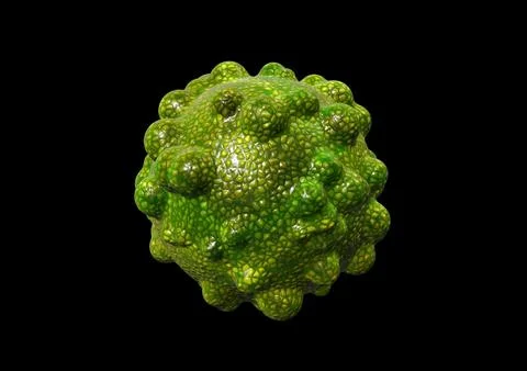 Green colored 3d virus model on black background, 3d rendering illustration Stock Illustration
