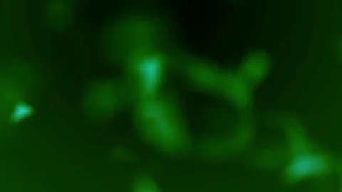 Green Colored bokeh blue HD background Stock Footage 73863374
