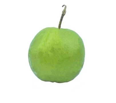 Green colored fresh medium sized guava fruit placed on a white isolated backg Stock Photos