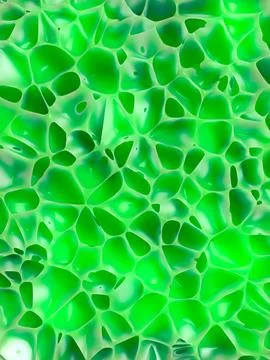 Green colored organic voronoi pattern. 3d rendering Stock Illustration