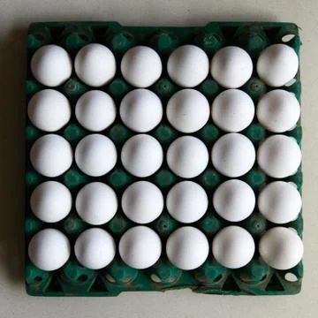 A green colored plastic egg crate with 30 white eggs in Square 1x1 square format Stock Photos