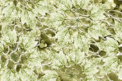 Green colorful background Illustrazione stock