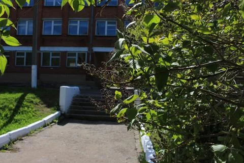 The green colours of spring Fotos de archivo