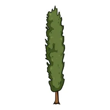 Green columnar tree creating natural landscape element Stock Illustration