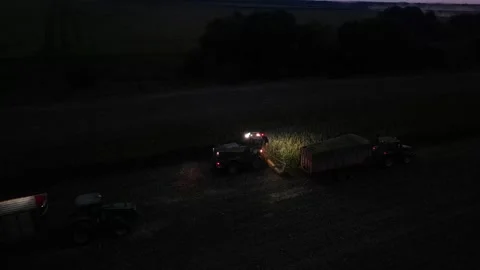 Green combine chopping corn silage in Ukraine at night Stock-Footage 298029384