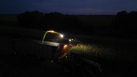 Green combine chopping corn silage in Ukraine at night Vidéo 298033824