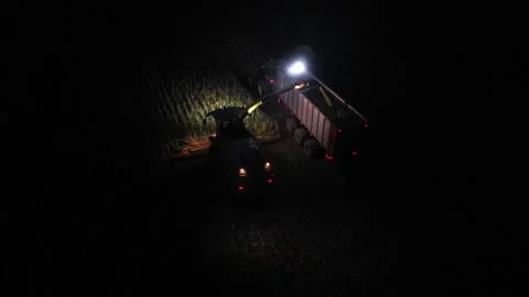 Green combine chopping corn silage in Ukraine at night Stock-Footage 298034245