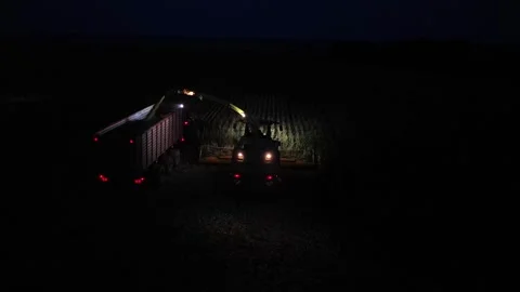 Green combine chopping corn silage in Ukraine at night Видео 298036125