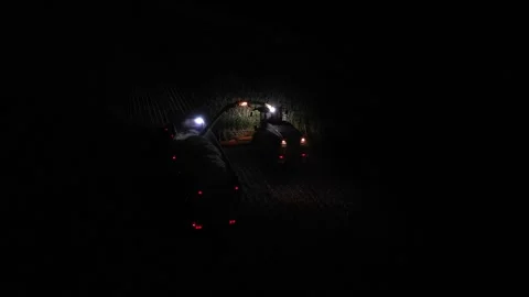 Green combine chopping corn silage in Ukraine at night 스톡 동영상 298058044