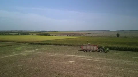 Green combine chopping corn silage in Ukraine at night Stock Footage 298063067