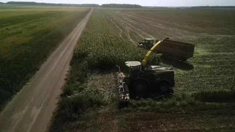 Green combine chopping corn silage in Ukraine at night 스톡 동영상 298063958