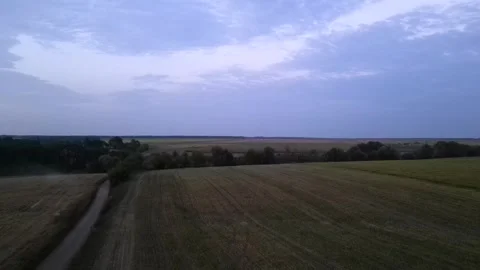 Green combine chopping corn silage in Ukraine at night Видео 298064523