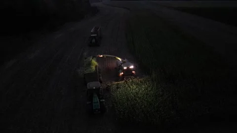 Green combine chopping corn silage in Ukraine at night Stock-Footage 298065015