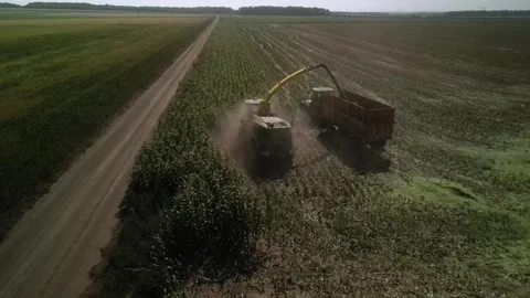 Green combine chopping corn silage in Ukraine at night Stock Footage 298065016