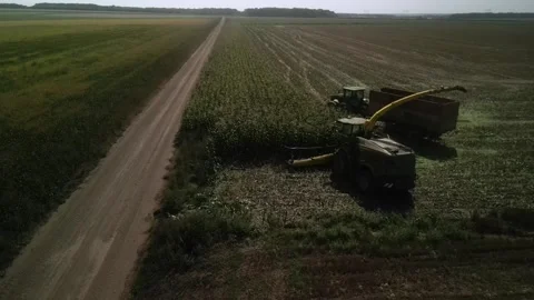 Green combine chopping corn silage in Ukraine at night Stock-Footage 298065117