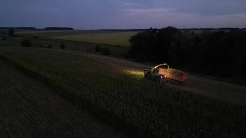 Green combine chopping corn silage in Ukraine at night Video stock 298065583