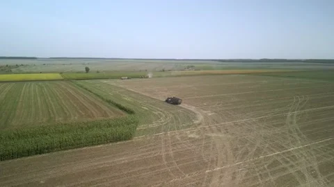 Green combine chopping corn silage in Ukraine at night Stock Footage 298066213