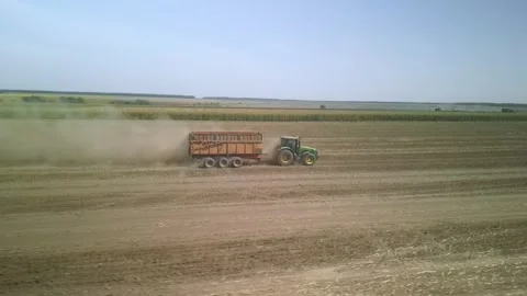 Green combine chopping corn silage in Ukraine at night Stock Footage 298068105