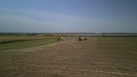 Green combine chopping corn silage in Ukraine at night 스톡 동영상 298068446