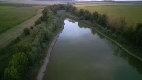 Green combine chopping corn silage in Ukraine at night 스톡 동영상 298071436