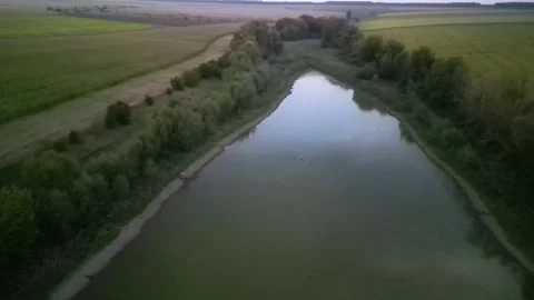 Green combine chopping corn silage in Ukraine at night Vidéo 298072049