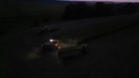 Green combine chopping corn silage in Ukraine at night Stock Footage 298072280