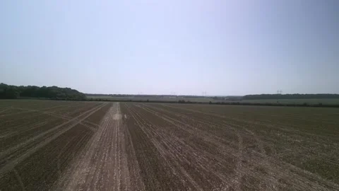 Green combine chopping corn silage in Ukraine at night Stockbeeldmateriaal 298072494