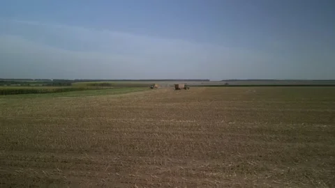 Green combine chopping corn silage in Ukraine at night Video stock 298072520