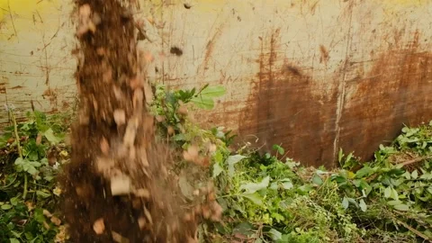 Green compost. Grass and leaves fall  into compost container. Stock Footage 166597229