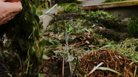 Green compost.Bio garbage. Grass and leaves fall  into compost container. Stock Footage 166914492
