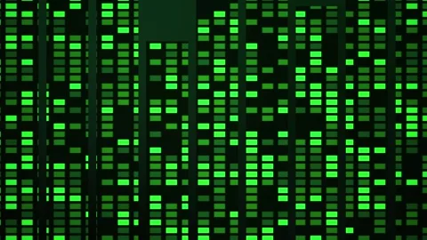 Green computer code on black background. Stockbeeldmateriaal 335526785