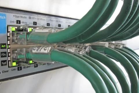 Green computer network cable in a data rack Stock Photos