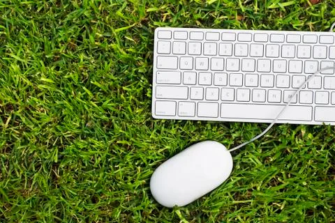 Green Computer Stock Photos