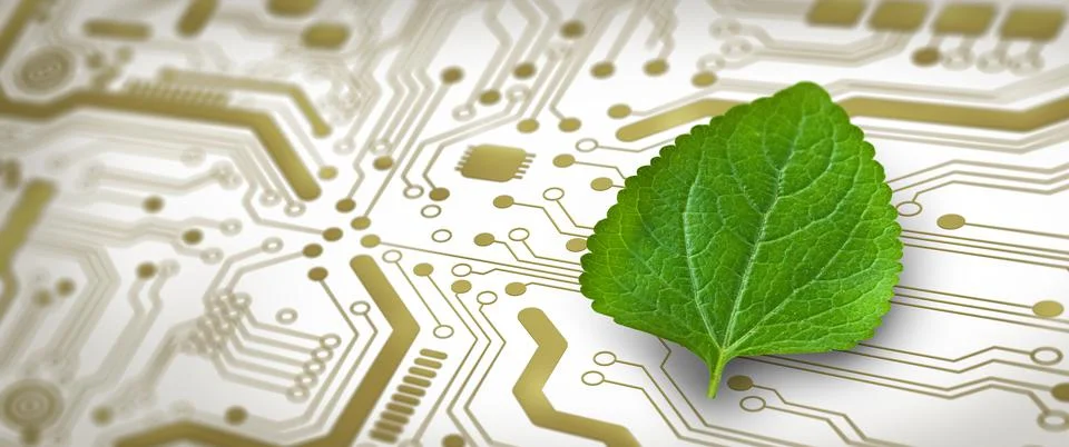 Green Computing, Green Technology, Green IT, csr, and IT ethics Concept. 写真素材