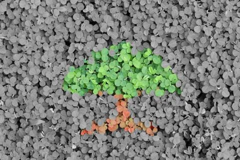 Green Concept Stock Photos