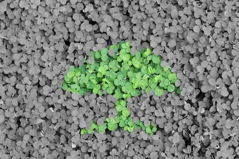 Green Concept Stock Photos