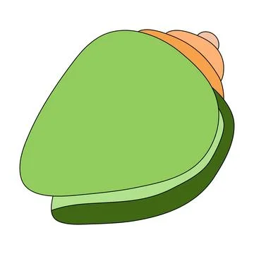 Green conch seashell on a white background Stock Illustration