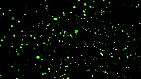 Green Confetti Falling (Loopable) 스톡 동영상 303868770