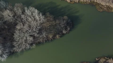 The green confluence Stock Footage 258274357