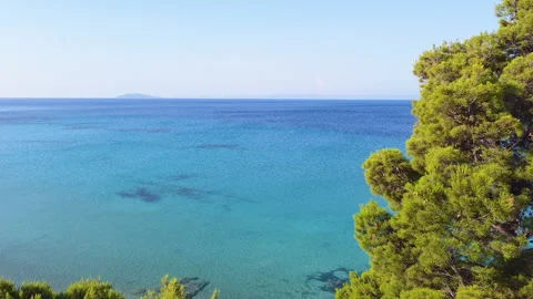 Green conifer tree by the exotic turquoise sea.Aerial view Stock-Footage 134851036