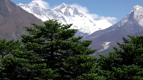 Green Coniferous Against High Mount Everest Lhotse In Himalaya Mountains Stock-Footage 259041872